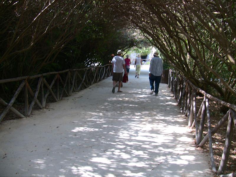 IMG_0707.jpg - ARBORWAY IN SYRACUSE TO CAVE