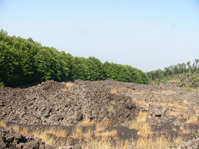 IMG_0728.jpg - OLD LAVA FLOW