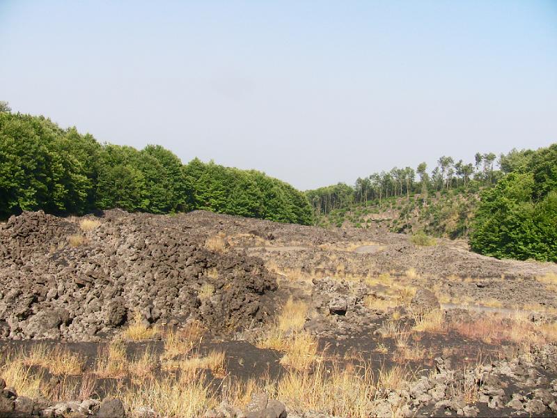 IMG_0729.jpg - OLD LAVA FLOW