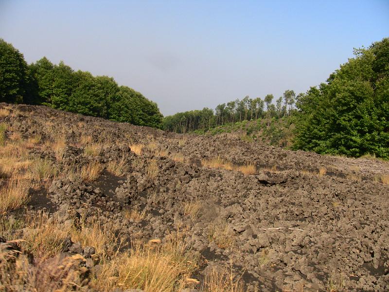 IMG_0737.jpg - OLDER LAVA FIELD