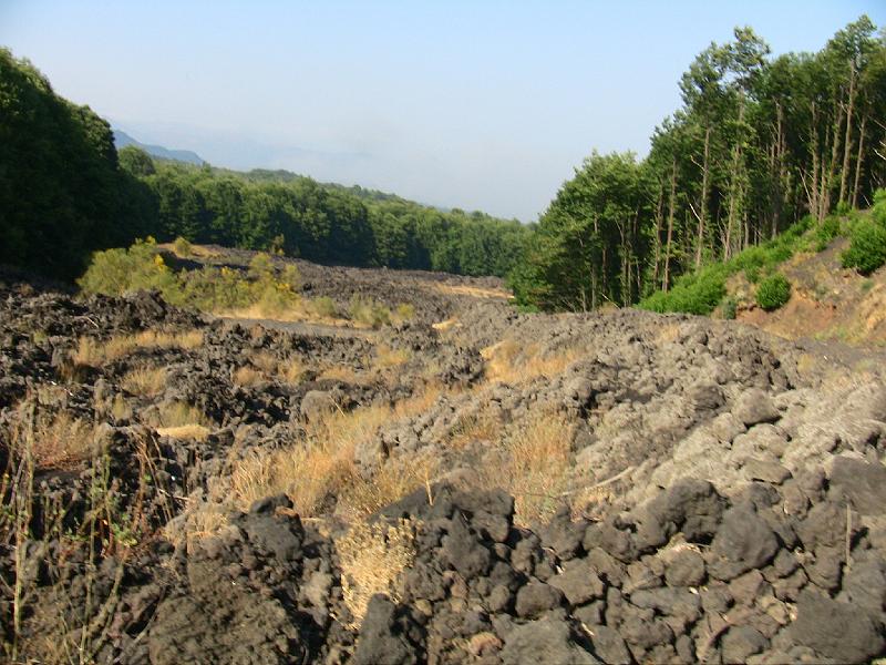 IMG_0738.jpg - OLDER LAVA FIELD