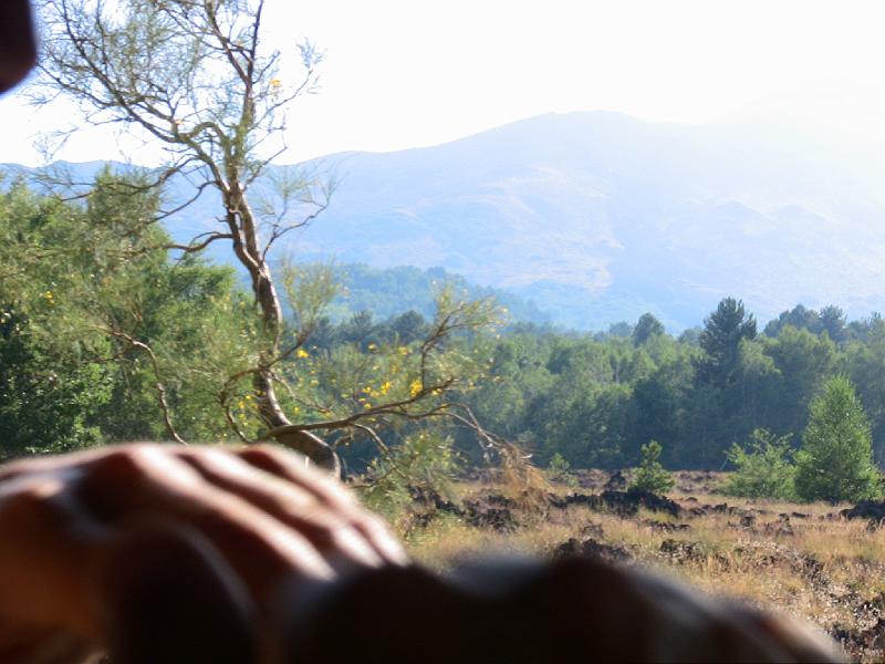 IMG_0739.jpg - MOUNT AETNA VIEW