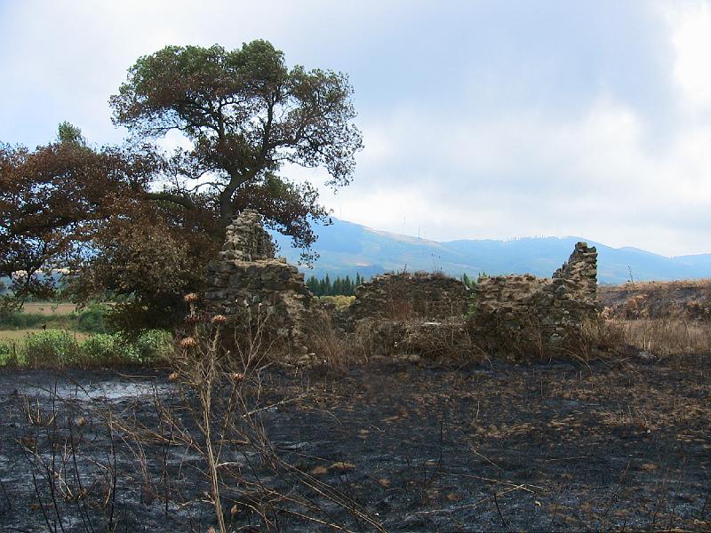 IMG_0768.jpg - NICOLA'S PROPERTY ON HILLTOP