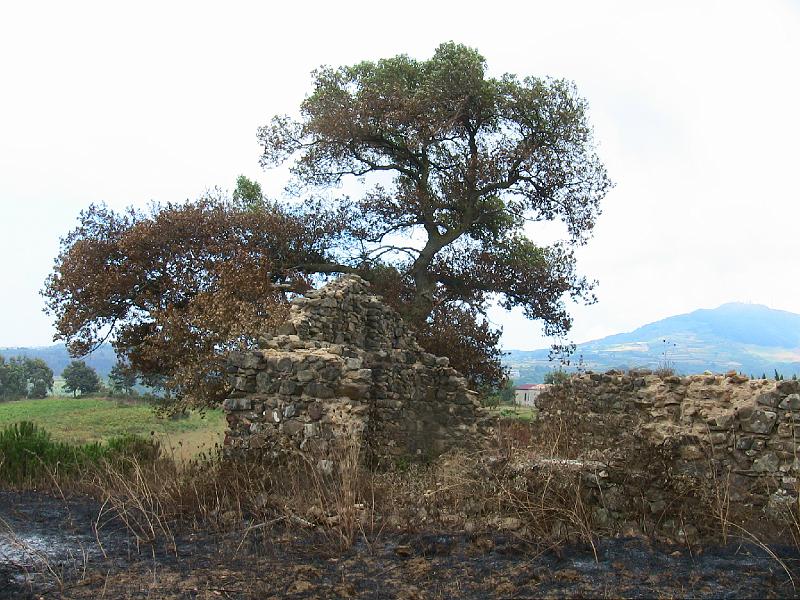 IMG_0769.jpg - NICOLA'S PROPERTY ON HILLTOP