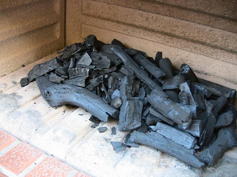 IMG_0920.jpg - READY FOR THE BARBQ